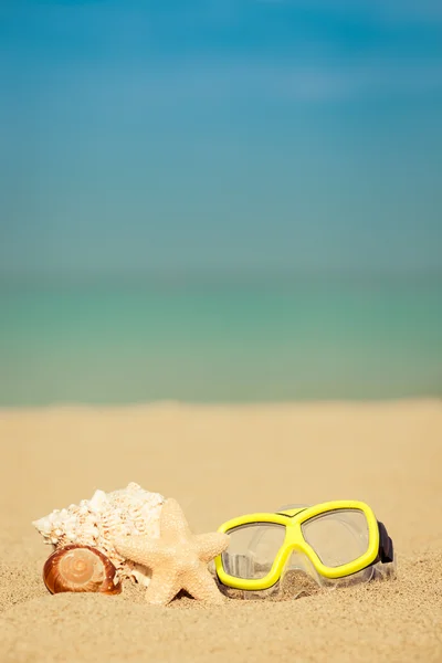 Seashells, estrela e máscara de natação Imagem De Stock