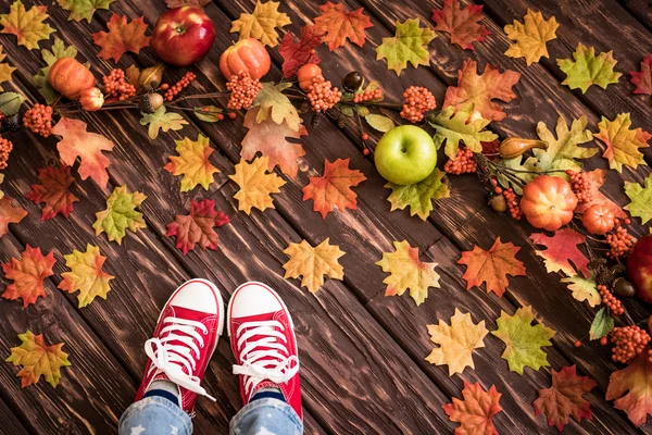 Bambino sdraiato sulle foglie d'autunno . — Foto Stock