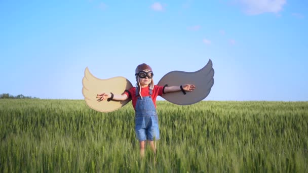 Szczęśliwe Dziecko Bawiące Się Zielonym Polu Zabawny Dzieciak Papierowymi Skrzydełkami — Wideo stockowe