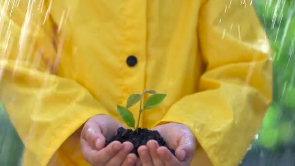 Barn Som Håller Ung Grön Växt Händerna Mot Regndroppar Jord — Stockvideo