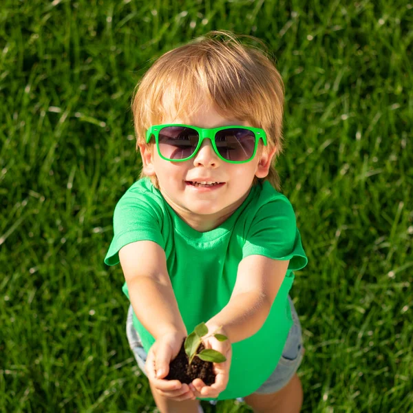 Kind Met Jonge Groene Plant Handen Zomervakantie Concept Bovenaanzicht — Stockfoto