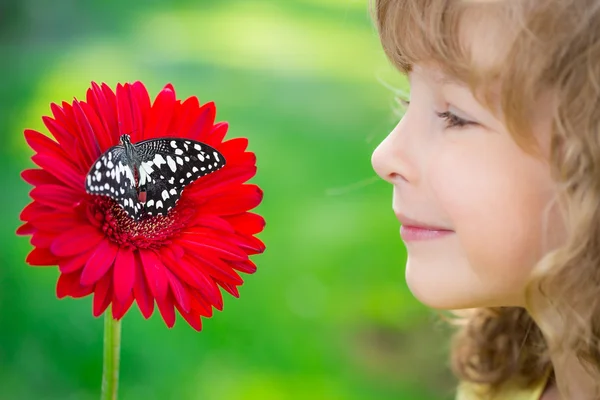 Schmetterling — Stockfoto