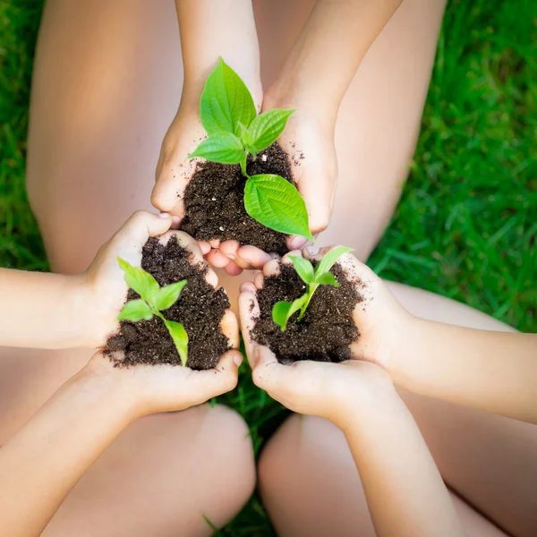 Jonge plant in handen — Stockfoto