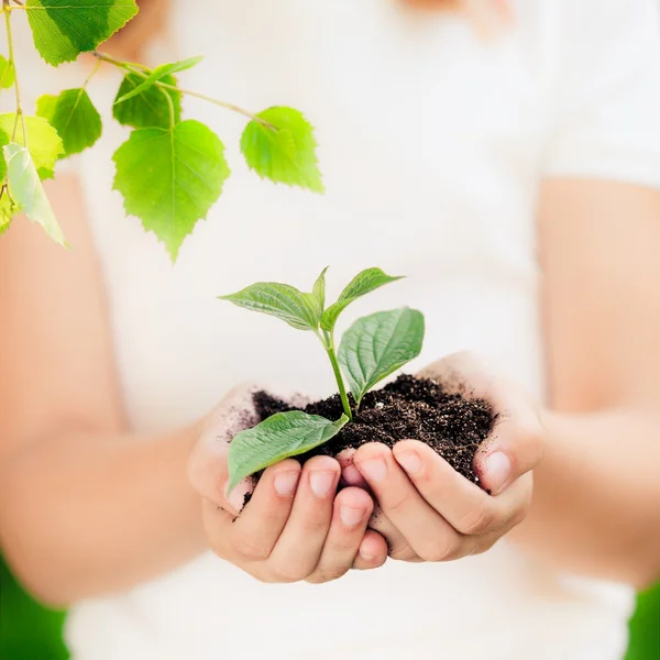 Tag der Erde — Stockfoto