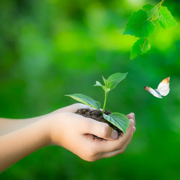 Earth day — Stock Photo, Image