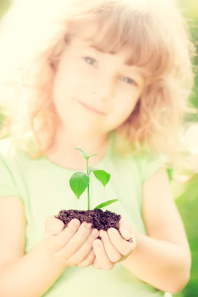 Enfant exploitant jeune plante verte — Photo