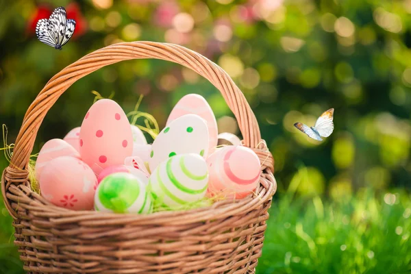 Easter eggs in basket — Stock Photo, Image