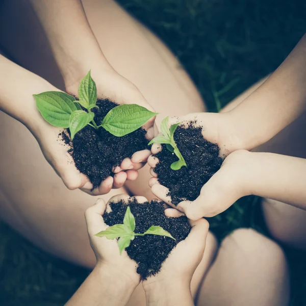 Enfants tenant une jeune plante — Photo