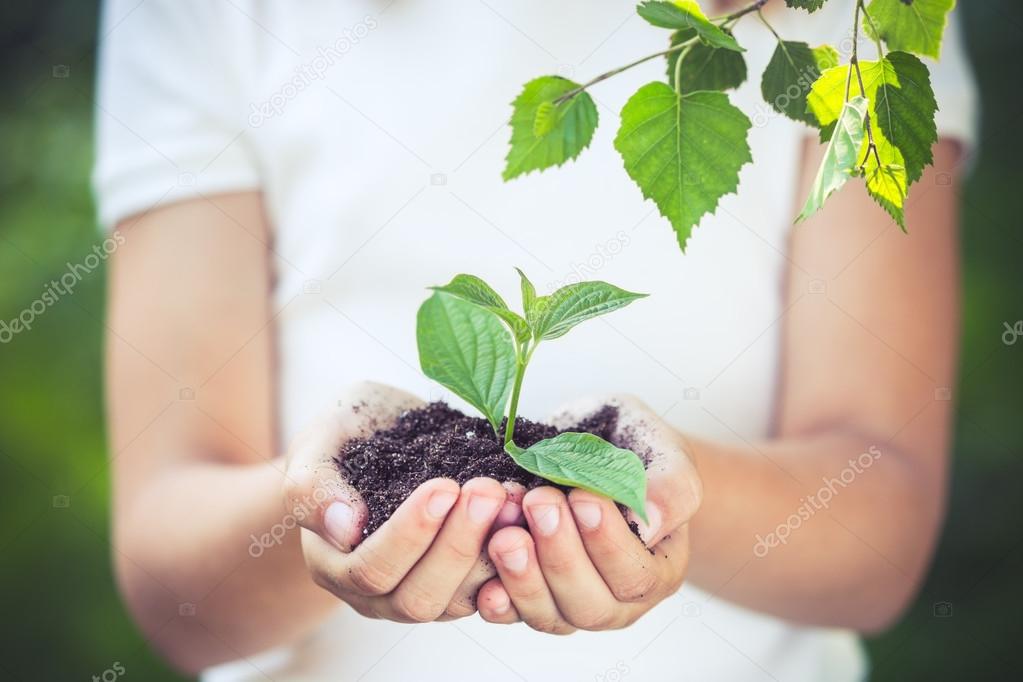 Child holding young plant