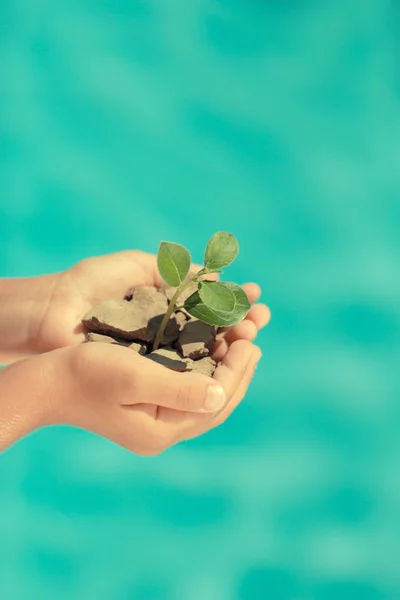 Child holding young green plant — Stock Photo, Image