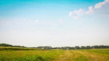 Yaz alanında oynayan mutlu çocuk