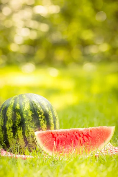 Fesh watermeloen segment — Stockfoto