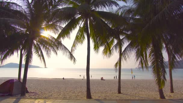 태국의 해수욕장 해변에서의 해변의 모래와 바다에 야자나무와 해변의 시간입니다 — 비디오
