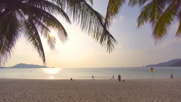 Phuket Thailand Havsstranden Solnedgångens Scen Vid Strandhavet Palm Träd Stranden — Stockvideo