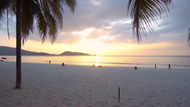 Phuket Tailândia Sea Beach Cena Pôr Sol Mar Praia Palmeira — Vídeo de Stock