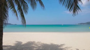 Yaz günü kumsalda hindistan cevizi ağacı olan deniz.