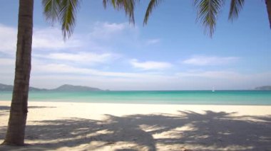 Yaz günü kumsalda hindistan cevizi ağacı olan deniz.