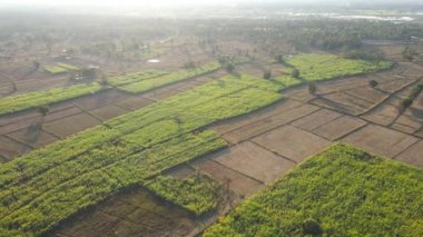 Yüksek açı. Akşamları insansız hava aracı çiftlikleri ve tarım arazilerinin havadan görüntüsü. Peyzaj Çiftlikleri ve tarım arazisi kavramı.