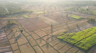 Yüksek açı. Akşamları insansız hava aracı çiftlikleri ve tarım arazilerinin havadan görüntüsü. Peyzaj Çiftlikleri ve tarım arazisi kavramı.