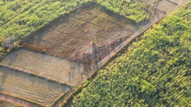 Yüksek açı. Akşamları insansız hava aracı çiftlikleri ve tarım arazilerinin havadan görüntüsü. Peyzaj Çiftlikleri ve tarım arazisi kavramı.