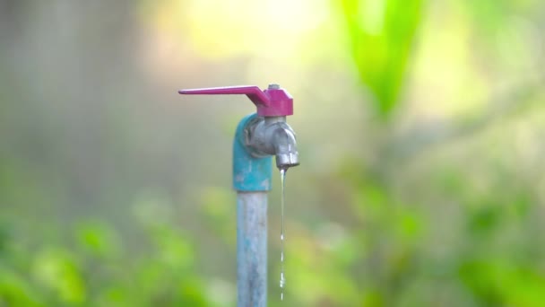 Zamknij Zużycie Wody Włącz Kran Oszczędzaj Wodę Koncepcja Oszczędzania Wody — Wideo stockowe
