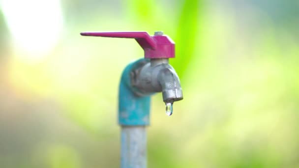 Närbild Vattenförbrukning Slå Kranen Och Spara Water Saving Koncept Världsvattendag — Stockvideo