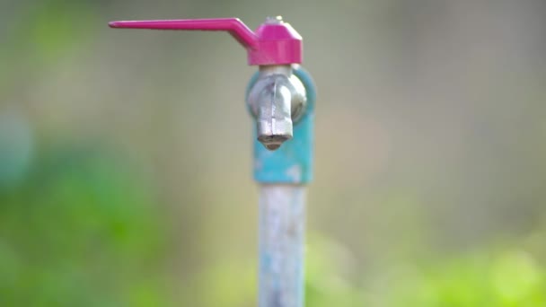 关闭水的消耗 打开水龙头 节约用水 节约用水的概念 世界水日 清洁饮水卫生 4K视频剪辑 拯救地球与生态概念 — 图库视频影像