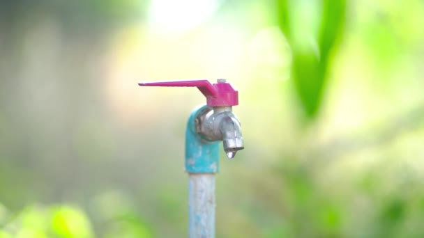 Tutup Konsumsi Air Hidupkan Keran Dan Menyimpan Konsep Water Hari — Stok Video