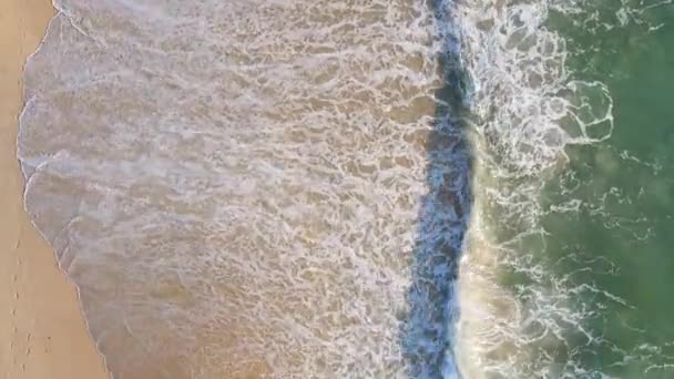 Ovanifrån Flygfoto Drönare Över Stranden Havet Vackra Havsvågor Strandsand Och — Stockvideo