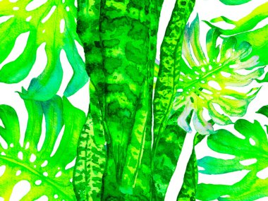 Suluboya Tertemiz Desen 'i Bırakıyor.