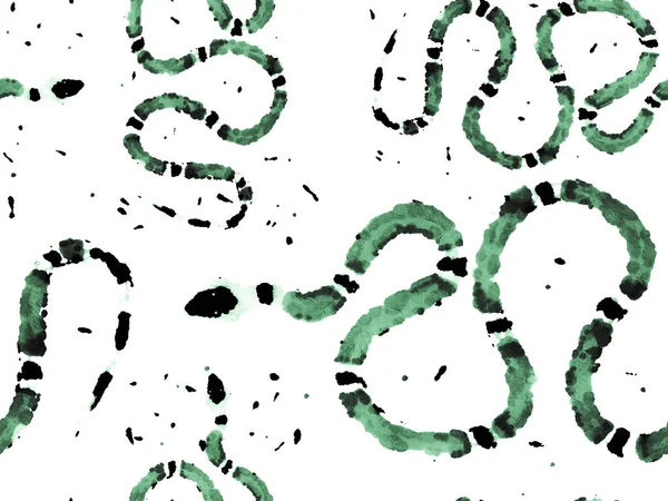 Snake Seamless Pattern. — Stock Photo, Image