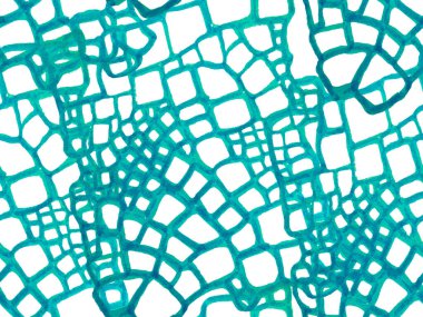 Timsah Kusursuz Desen.