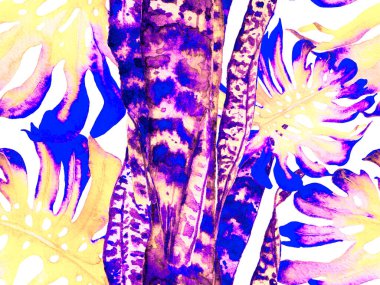 Suluboya Tertemiz Desen 'i Bırakıyor.