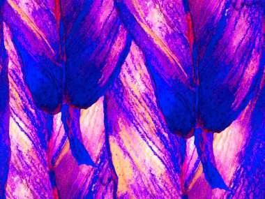 Suluboya kusursuz desen.