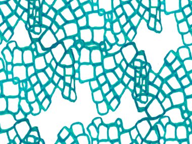 Timsah Kusursuz Desen.