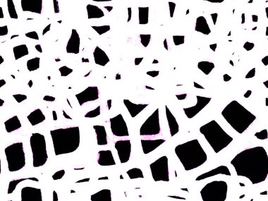 Timsah Kusursuz Desen.