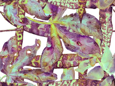 Suluboya Tertemiz Desen 'i Bırakıyor.