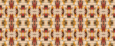 Etnik Kusursuz Desen.