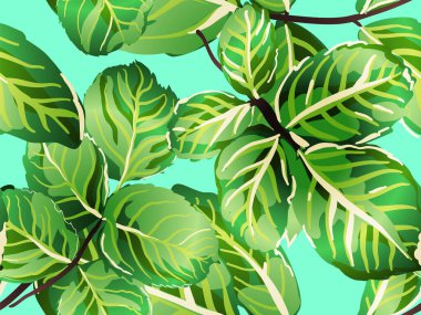 pürüzsüz desen bırakır.