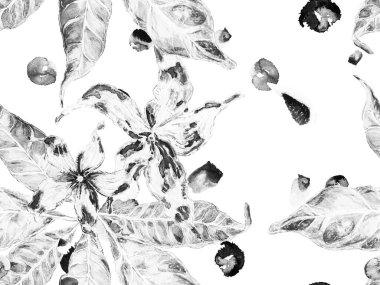 Biyo Jasmin Kusursuz Desen.