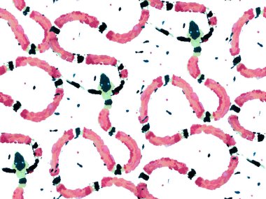 Yılan kusursuz desen.