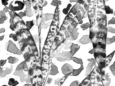 Tropik, pürüzsüz desen. 