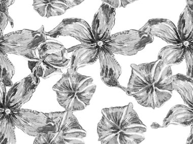 Biyo Jasmin Kusursuz Desen.