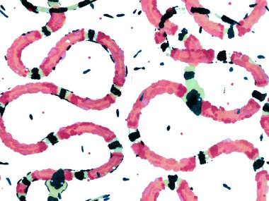 Yılan kusursuz desen.