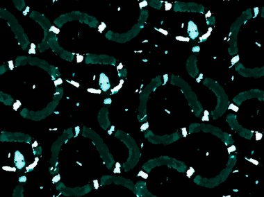 Yılan kusursuz desen.