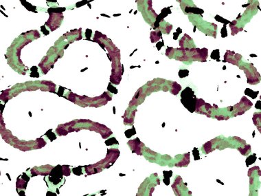 Yılan kusursuz desen.