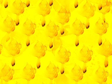 Egzotik Mayo Tasarımı. Hawaii Kova Parmak izi. Yaz Çiçeği Arkaplanı. Botanik Çiçek İllüstrasyonu. Klasik Peonie Eco Rapport. Suluboya Güller, Şakayık ve Yapraksız Kalıp.