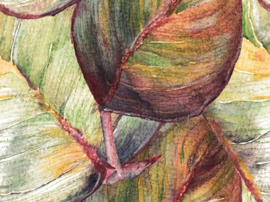 Suluboya kusursuz desen.