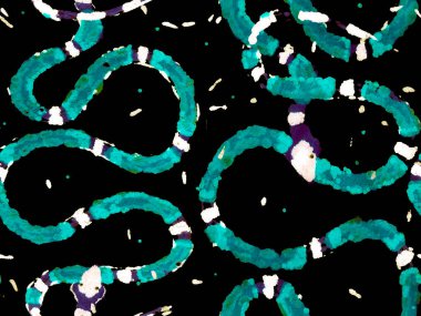 Yılan kusursuz desen.