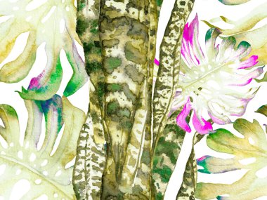 Yeşil ve Gri Yaz Çiçek Arkaplanı. Botanik Ormanı Çizimi. Suluboya kusursuz desen bırakır. Egzotik Mayo Tasarımı. Hawaii Kova Parmak izi. Vintage Eko Uyumu. 